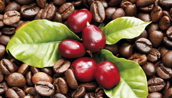 What are flavour notes in coffee?