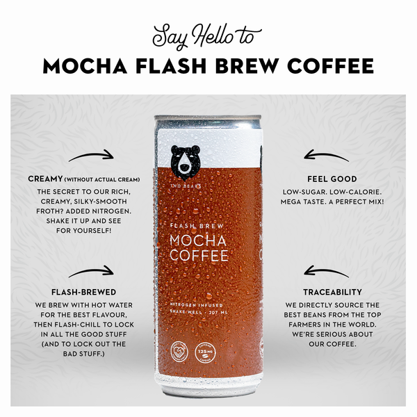 Mocha Flash Brew Coffee