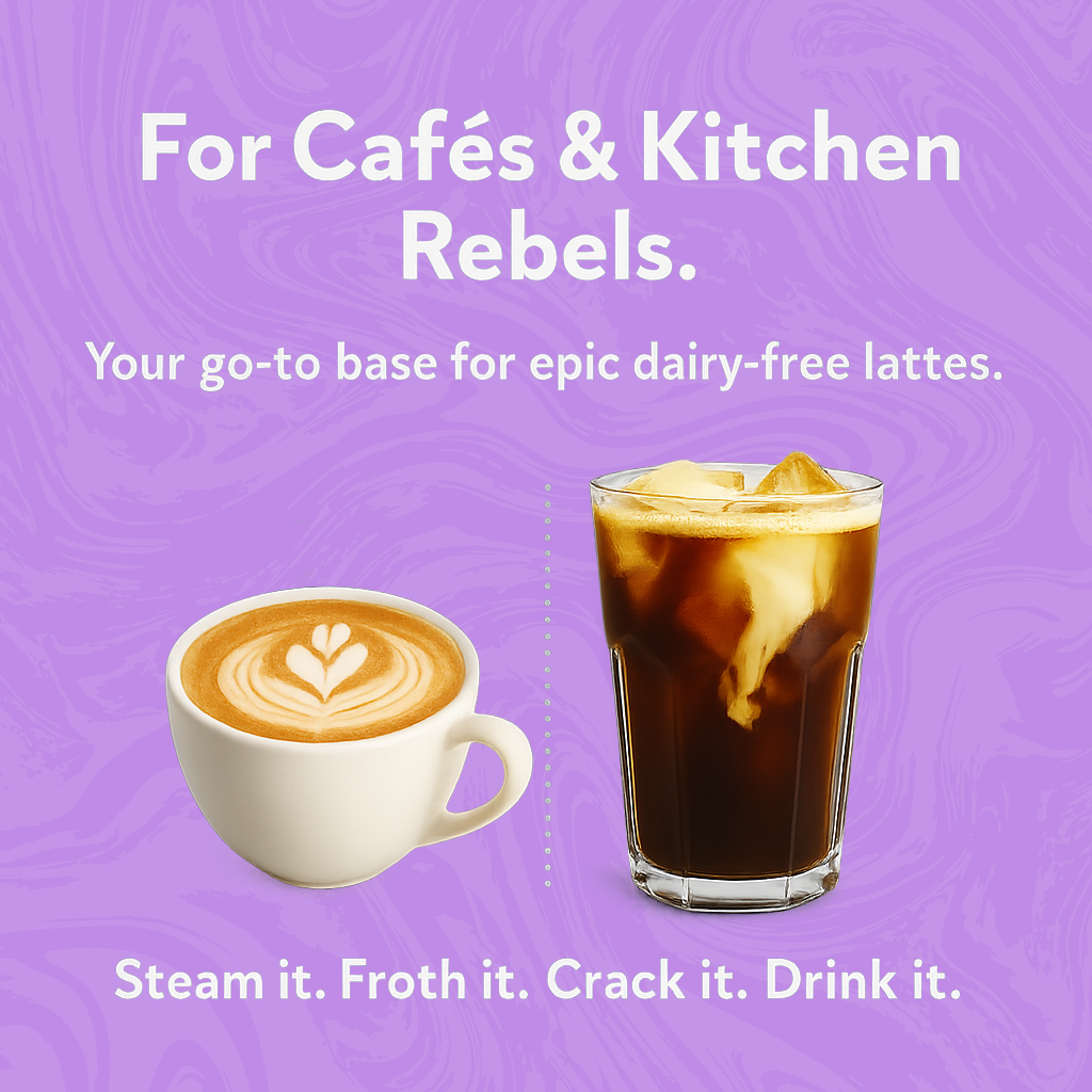 Barista Oat (12 Pack)