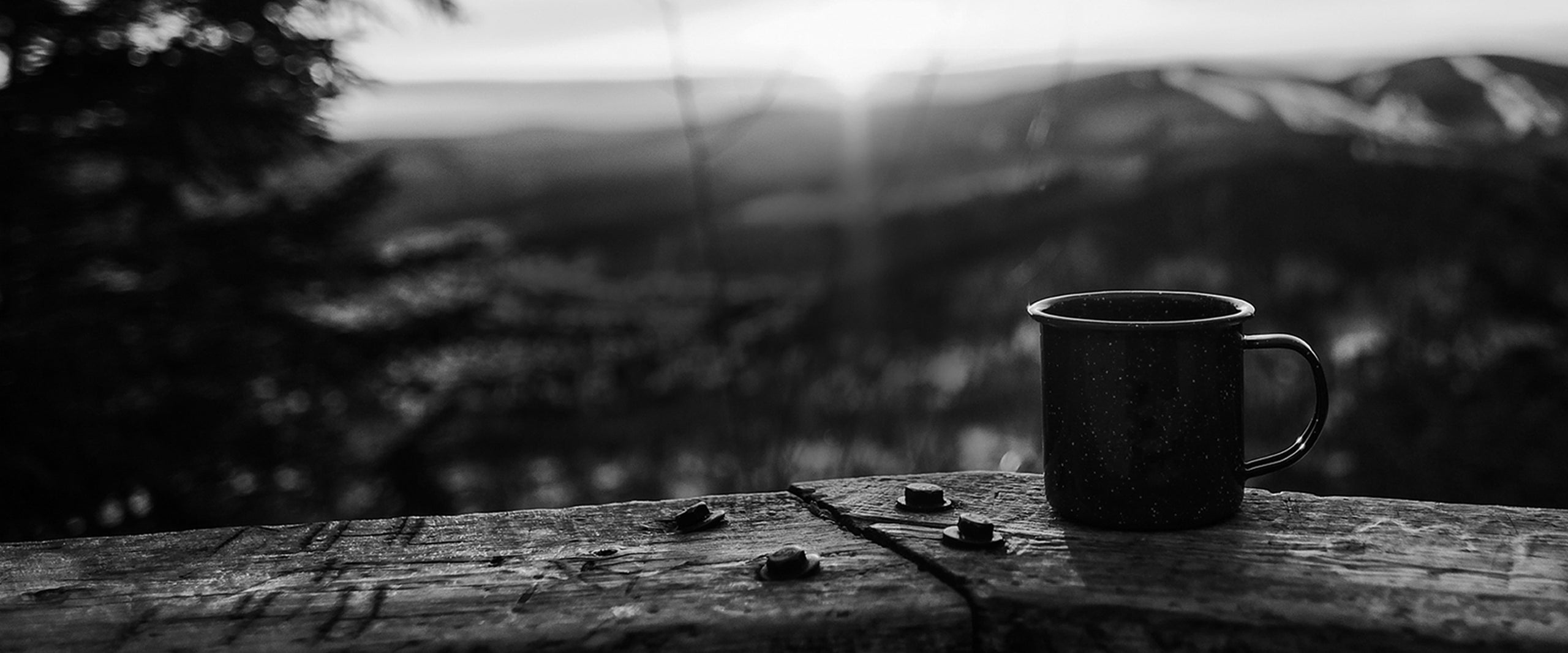 coffee cup nature